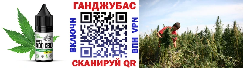 где продают наркотики  Приозерск  Cannafood конопля 