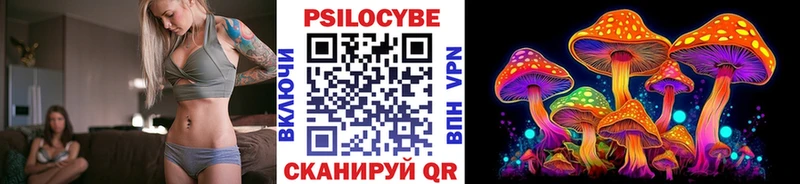 Галлюциногенные грибы Psilocybine cubensis  купить закладку  Приозерск 